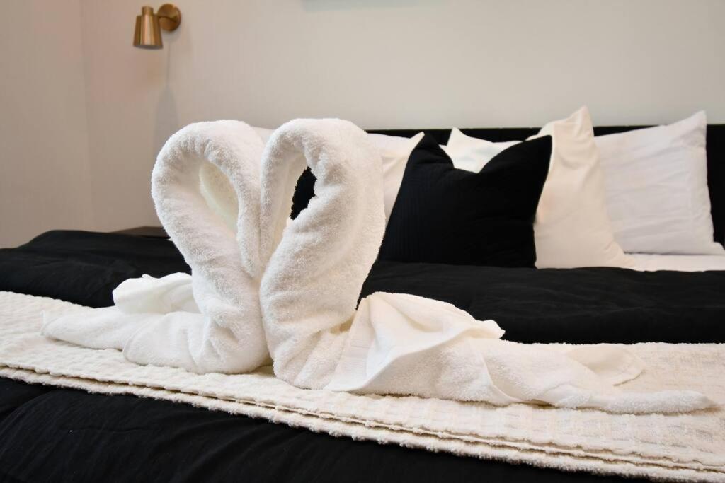 Chateau De Amour- Exquisite Townhouse - Med Center, Downtown Htx Casa de Férias