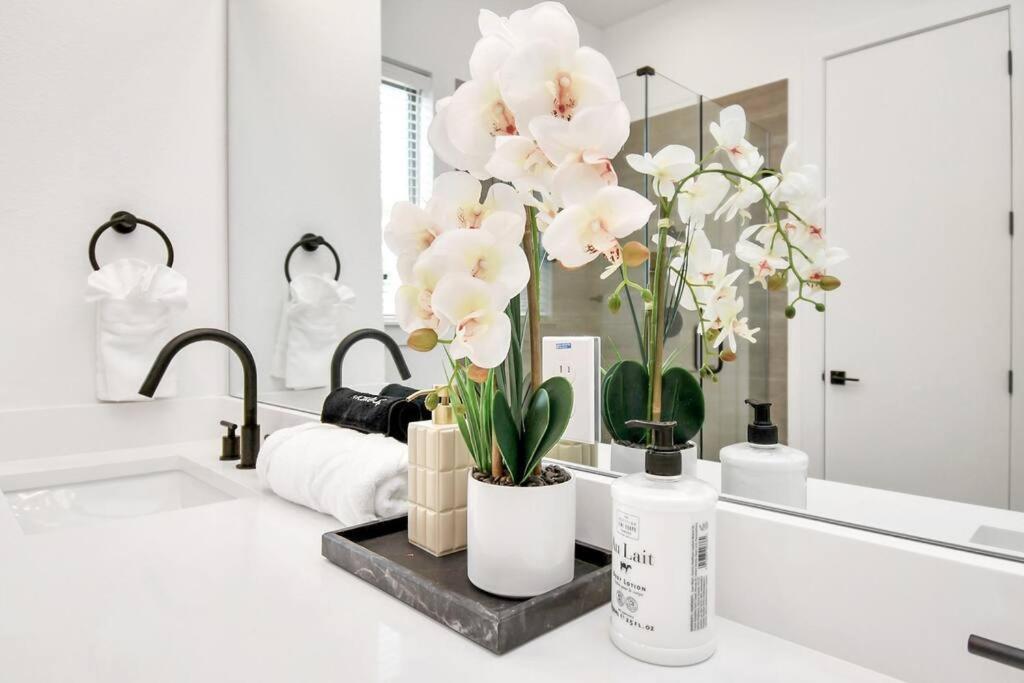 Chateau De Amour- Exquisite Townhouse - Med Center, Downtown Htx Casa de Férias Houston
